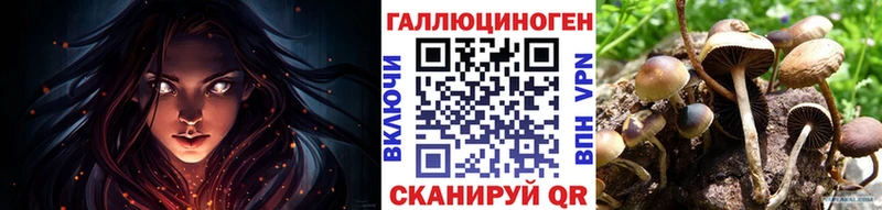Галлюциногенные грибы мухоморы купить закладку Новосиль