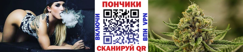 Марихуана индика где можно купить Новосиль